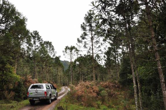 Estrada bucólica na região de Urubici - SC
